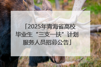 2025年青海省高校毕业生“三支一扶”计划服务人员招募公告
