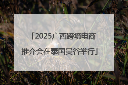 2025广西跨境电商推介会在泰国曼谷举行
