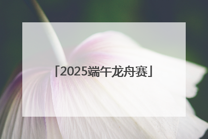 2025端午龙舟赛