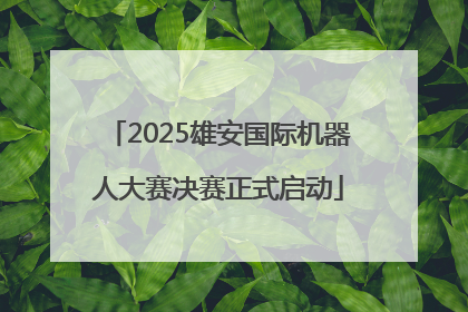 2025雄安国际机器人大赛决赛正式启动