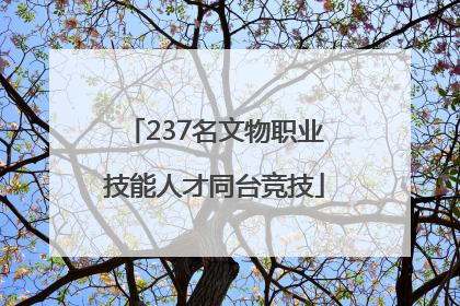 237名文物职业技能人才同台竞技