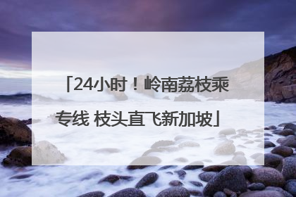 24小时！岭南荔枝乘专线 枝头直飞新加坡