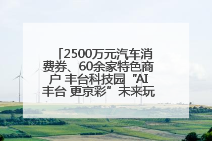 2500万元汽车消费券、60余家特色商户 丰台科技园“AI丰台 更京彩”未来玩家市集活动正式开幕