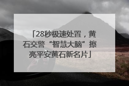 28秒极速处置，黄石交警“智慧大脑”擦亮平安黄石新名片