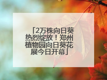 2万株向日葵热烈绽放！郑州植物园向日葵花展今日开幕