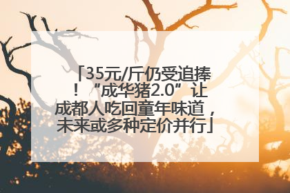 35元/斤仍受追捧！“成华猪2.0”让成都人吃回童年味道，未来或多种定价并行