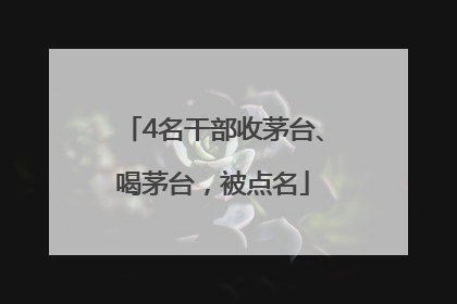 4名干部收茅台、喝茅台，被点名