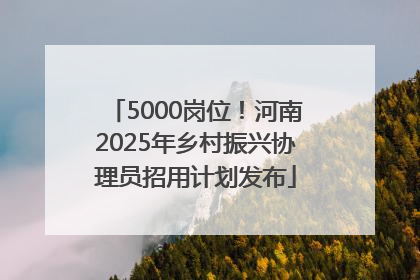 5000岗位！河南2025年乡村振兴协理员招用计划发布