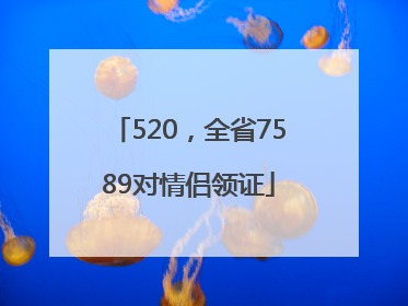 520，全省7589对情侣领证