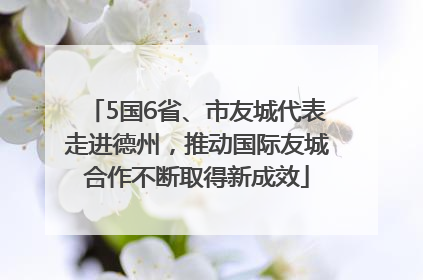 5国6省、市友城代表走进德州，推动国际友城合作不断取得新成效