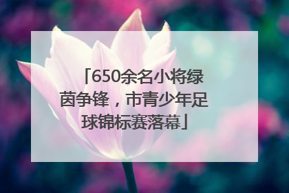650余名小将绿茵争锋，市青少年足球锦标赛落幕