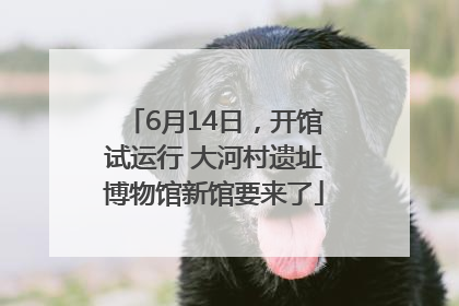 6月14日，开馆试运行 大河村遗址博物馆新馆要来了