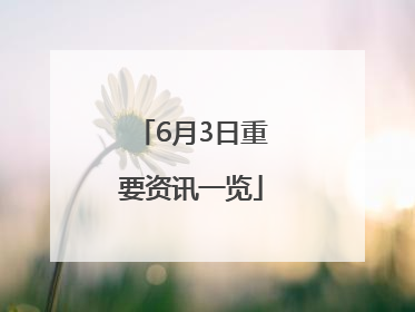 6月3日重要资讯一览