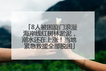 8人被困厦门浪漫海岸线红树林淤泥，潮水还在上涨！当地紧急救援全部脱困