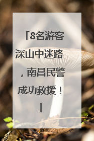 8名游客深山中迷路，南昌民警成功救援！