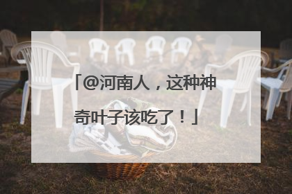@河南人，这种神奇叶子该吃了！
