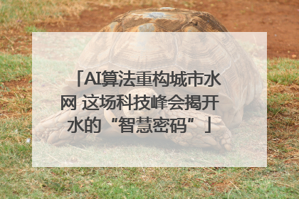AI算法重构城市水网 这场科技峰会揭开水的“智慧密码”