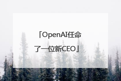 OpenAI任命了一位新CEO