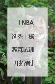 NBA选秀｜杨瀚森试训开拓者